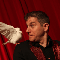 Artiste - Chris TORRENTE