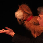 soirée de gala dans le cadre du 1er festival rire et magie de Saint-Péray (07) - Ardèche